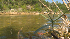 Dripping Springs residents upset over treated sewage dumping in Onion Creek