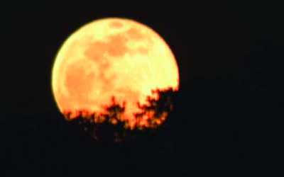 County resolution supports efforts to preserve darkness