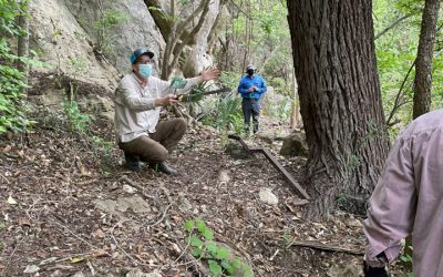 Rebecca Springs, salamander surveys, and WHY they matter