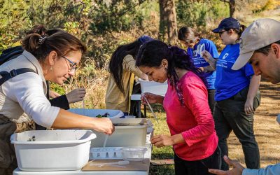 Stream Team program celebrates 30 years of citizen science, stewardship of Texas waterways