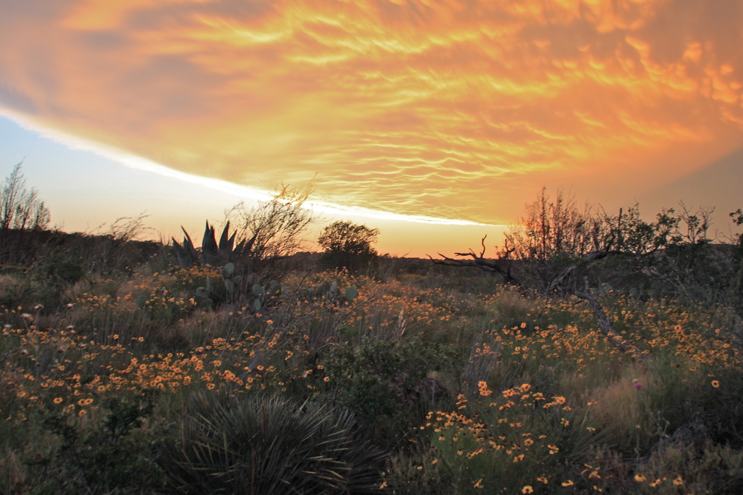 Hill Country Workshop Provides Landowners with Information on Conservation Easements