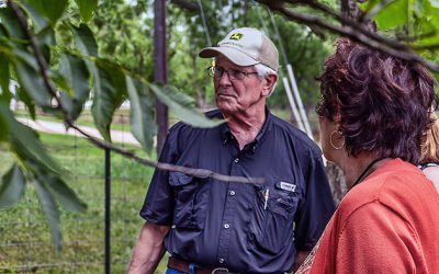 Opinion: Address looming water issues in Comal County before it’s too late