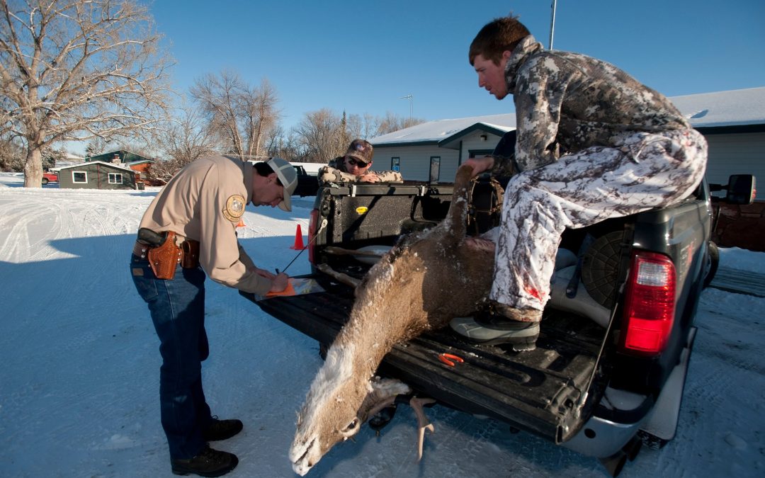 States Confront the Spread of a Deadly Disease in Deer