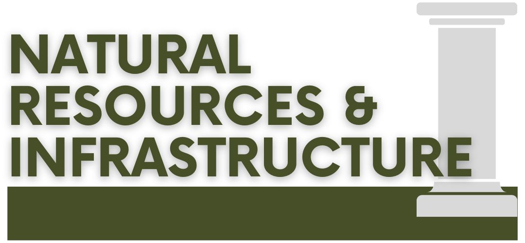 Natural Resources and Infrastructure pillar