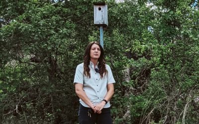 Leopold Live! Chapter 2: Bluebird Boxes Recap