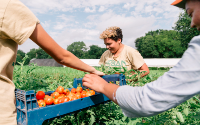 Essential Austin nonprofit finding new ways to nourish community amid COVID-19