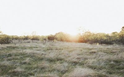 Return on Investment: How putting a dollar figure on the value of conserved lands can help save more of them