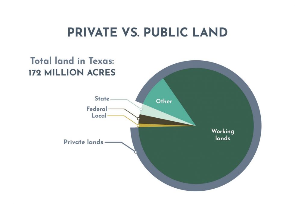 Texas Land Trends report shows value of conservation easements to ag