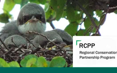 NRCS announces 2020 sign-up available for partnership led conservation program