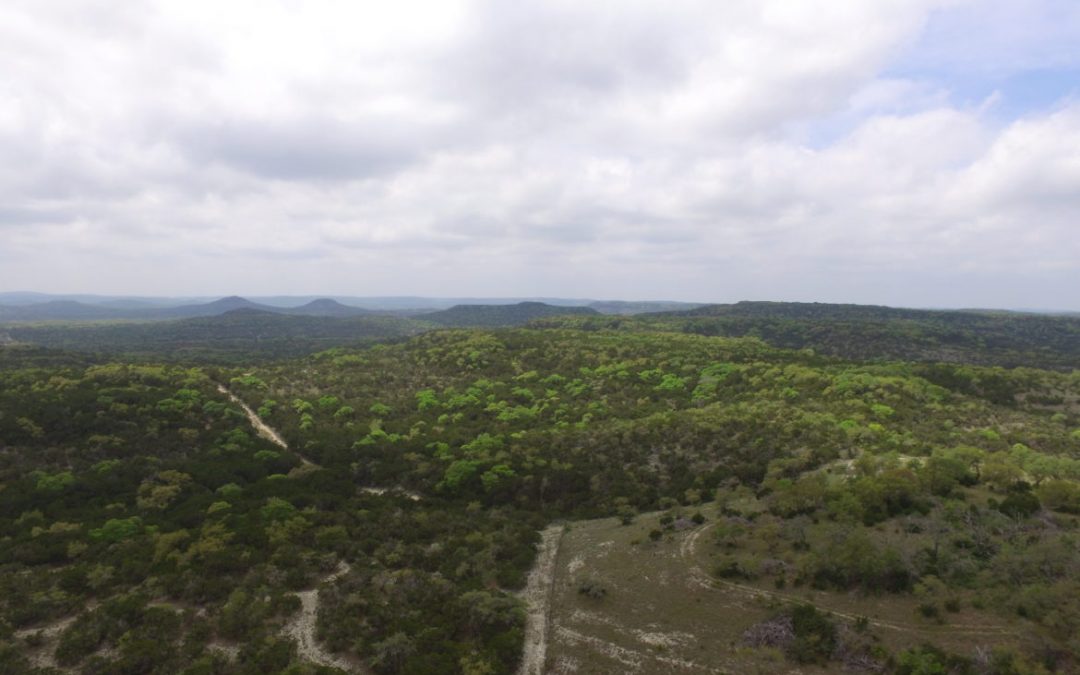 State-Owned Bexar County Ranch at the Center of Latest Warbler Fight