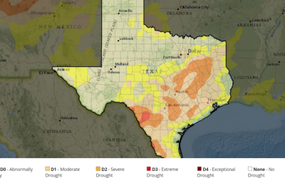 Texas needs to tackle water scarcity before it gets worse ﻿