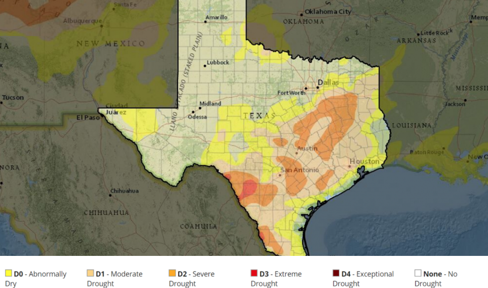 Texas needs to tackle water scarcity before it gets worse ﻿