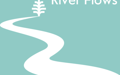 Easing into watershed protection with taxes and bonds featuring Lon Shell, Frank Davis, and Phillip Covington