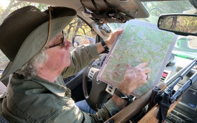 Regional impacts of free-range axis deer