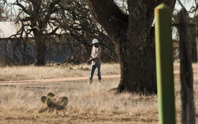 With Texas back in drought, watering cutbacks resume in San Antonio