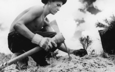 7.7 million young people are unemployed. We need a new ‘Tree Army.’