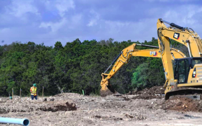 ‘Everything was there and then it wasn’t’: Developers allowed to skirt tree ordinance
