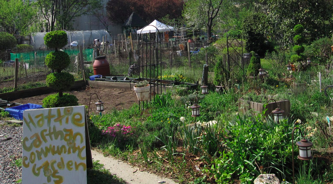 CARTHAN GARDEN A garden that bloomed from community engagement in NYC. © kenficara/Flickr