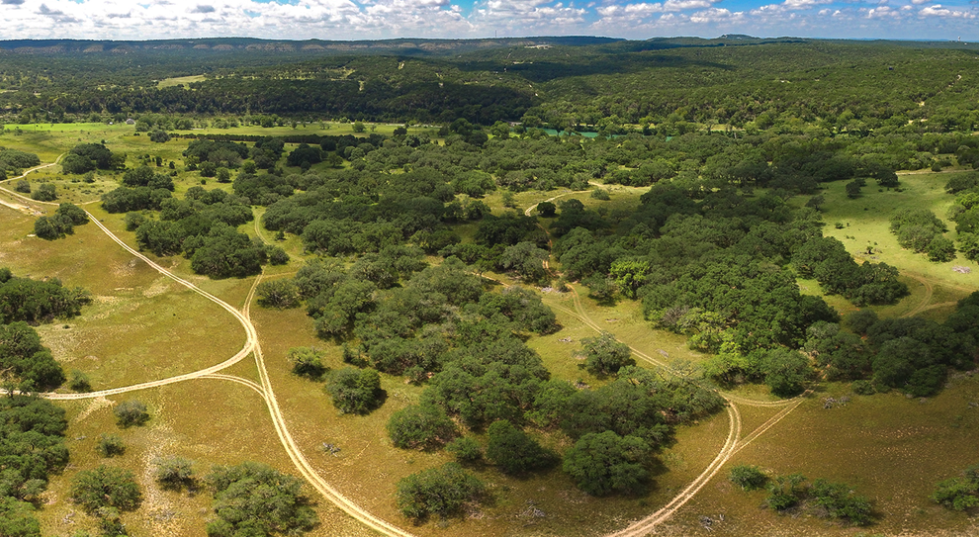 An aerial view of winding roads between lush live oak savannah and bald-cypress riparian forest