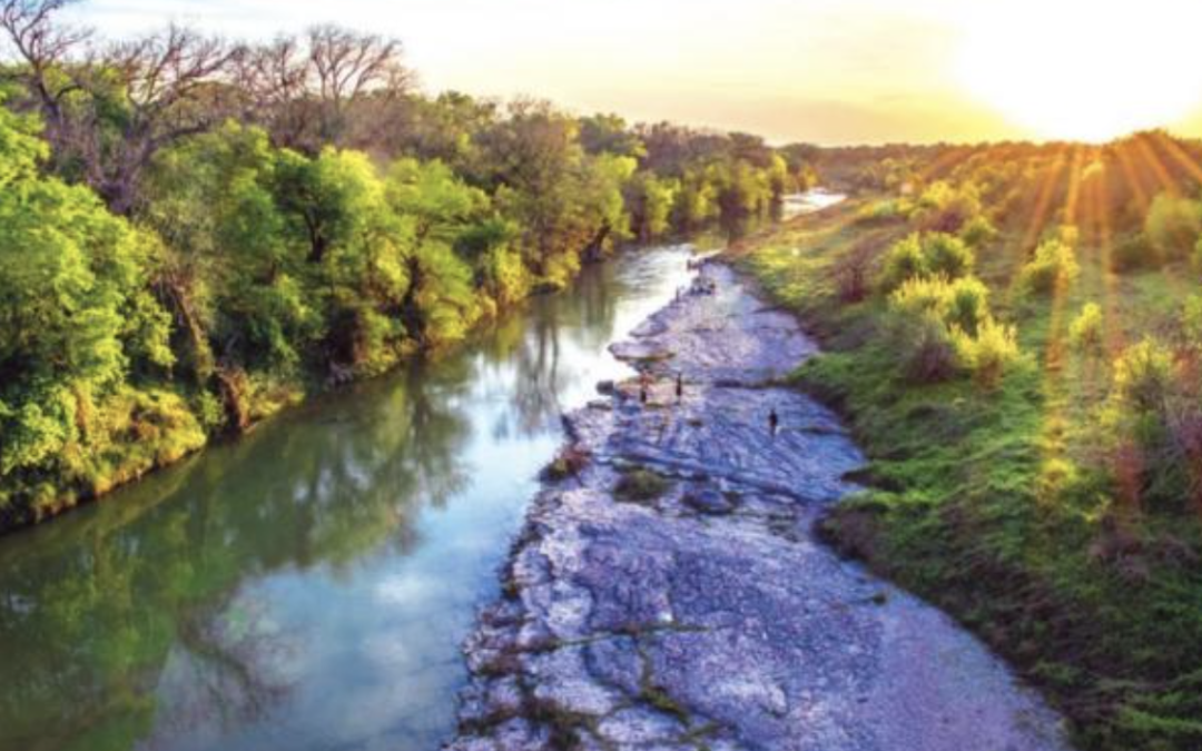 Tracking The Health Of The Hill Country
