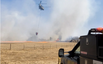 Wildfire risk remains high for much of Texas in the days ahead, fire officials say.