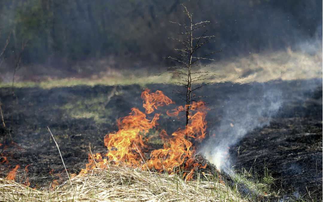 Hill Country fires contained after dry conditions spark blazes.
