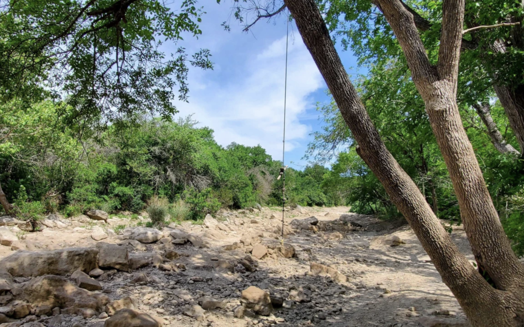 Drought drains greenbelt swimming holes, but springs may still provide.