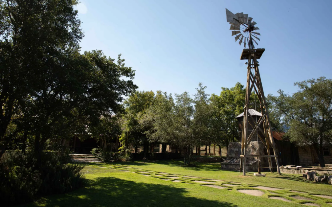 Photo of park with a windmill