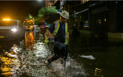 White House to review floodplain building codes in response to petition