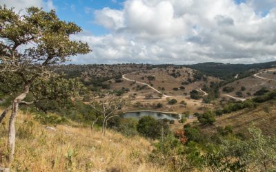 2020 successes in the Hill Country