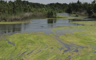 Young Life camp withdraws wastewater permit, will employ zero-discharge approach