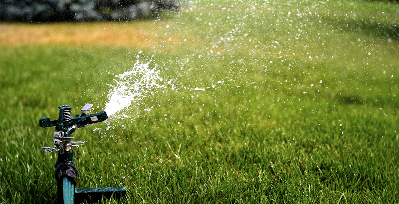 Securing Texas’ water future, one lawn at a time