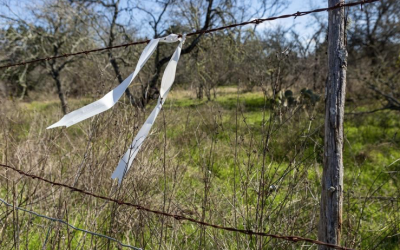 Judge: Pipeline through Hill Country can move forward