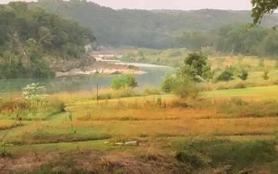 Resilience along a river