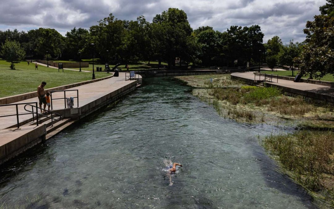 Swimmer swims upstream in the San Marcos River at Sewell Park