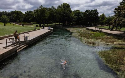 Explosive growth endangers unique wildlife, critical waters of San Marcos River
