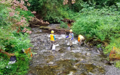 Congress could put Americans back to work through conservation