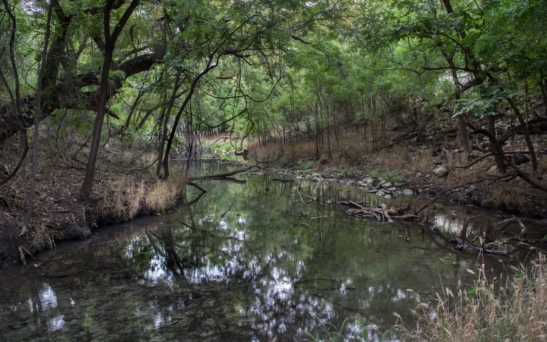 TCEQ Punts on Water Rights Fight on the San Saba River