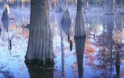 State and regional flood planning: the future of flood resilience in Texas