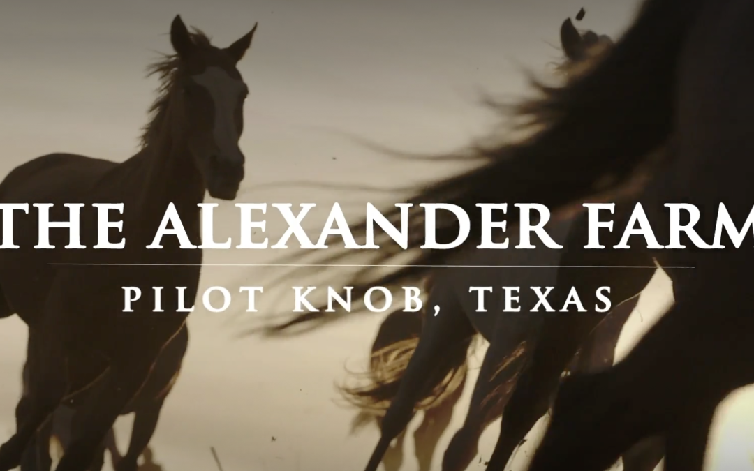 Horses run across the screen. Text reads "The Alexander Farm - Pilot Knob, Texas"