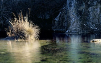 New Texas conservation area boasts hundreds of springs