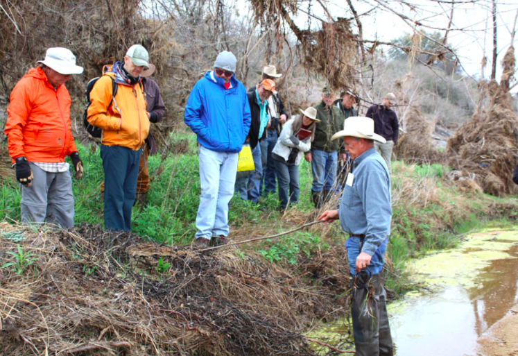 Landowners, volunteers wade into riparian restoration effort