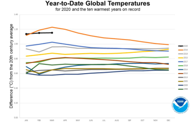 Higher temperatures for 2020 warns of Harmful Algal Bloom (HAB) growth