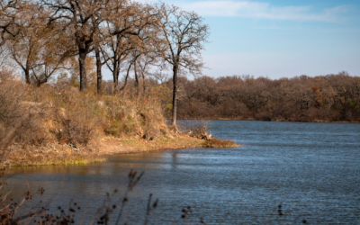 Fort Worth is moving forward to buy land despite the coronavirus budget crunch