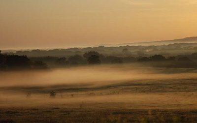 Financial, ecological benefits of conservation easements on working lands