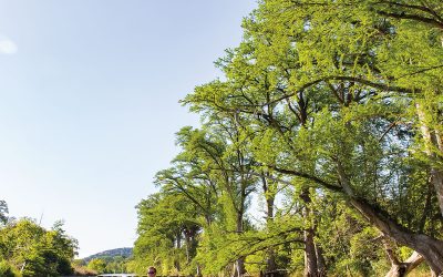 Wimberley Trail project receives state funds
