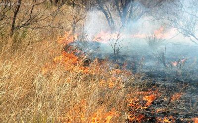 Rain, wind and fire: What La Niña means for Texas’ winter fire season