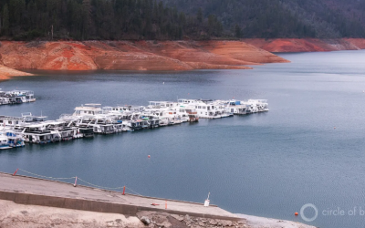 Drought, the everything disaster