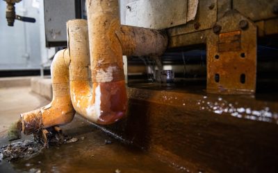 2021 began with a Texas-sized water crisis. In 2022, Texas needs solutions