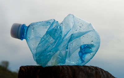 The COVID-19 crisis and our water: Part 1